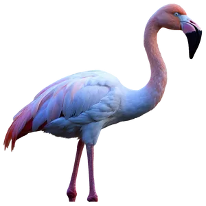 Flamingo Silhouette At Dawn Png Vcw PNG image