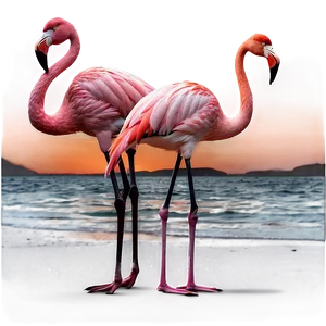 Flamingo Silhouette Sunset Png Vrx76 PNG image