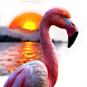 Flamingo Sunset Background Png 65 PNG image
