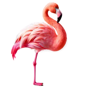 Flamingo Tropical Christmas PNG Ujt30
