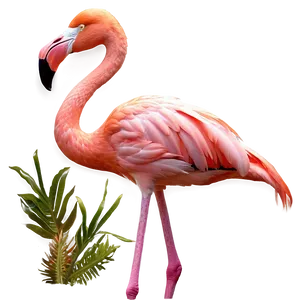 Flamingo Tropical Sunset Png 06272024 PNG image