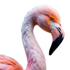 Flamingo Wedding Theme Png Elv18 PNG image