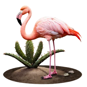 Flamingo With Cactus Scene Png 06292024 PNG image