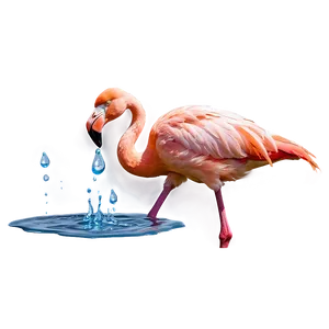 Flamingo With Water Droplets PNG Mdj PNG