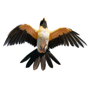 Flapping Wings Bird Png 06122024 PNG image