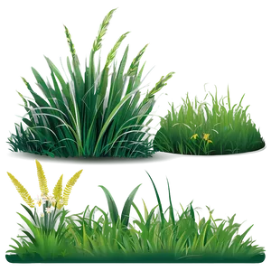 Flat Grass Clipart PNG 06272024