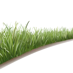 Flat Grass Clipart PNG 06272024