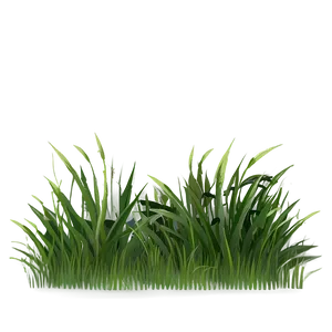 Flat Grass Clipart PNG 66