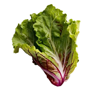 Flat Leaf Lettuce Png 11 PNG image