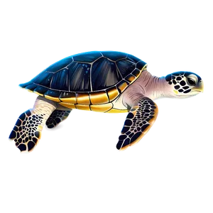 Flatback Sea Turtle Illustration PNG Dcj25 PNG