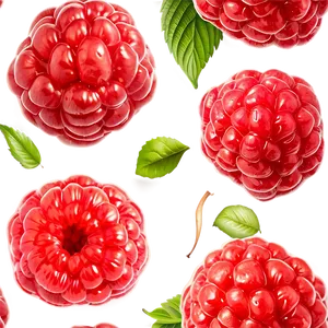 Flavorful Raspberry PNG Odp34