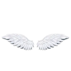 Flawless White Wings PNG Sej