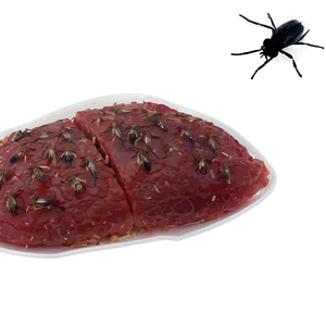 Flies On Meat PNG Clv66 PNG