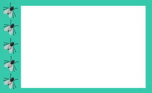 Flieson Turquoise Border PNG image