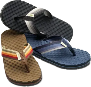 Flip Flops Variety Pack PNG image