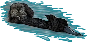 Floating Otter Illustration PNG image