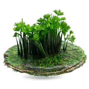 Floating Seaweed Scene PNG Iie