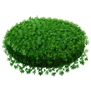 Floating Seaweed Scene PNG Rmq90