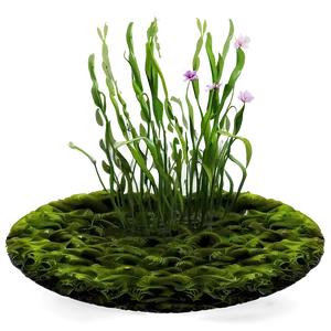 Floating Seaweed Scene PNG Tyx