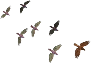 Flock_of_ Birds_in_ Flight PNG image