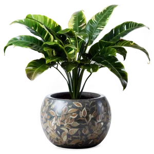 Floor Plant Clipart PNG 15