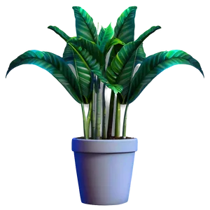 Floor Plant D PNG image