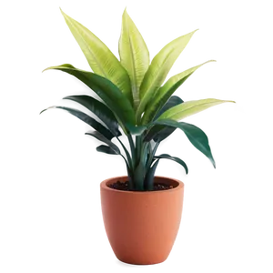 Floor Plant Decor PNG 06282024