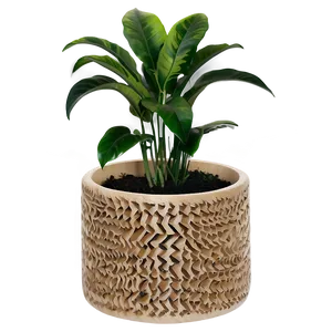 Floor Plant Decor PNG 13