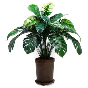 Floor Plant Decor PNG Xwp79