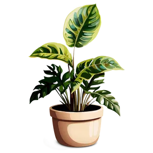 Floor Plant Illustration PNG Gwr78 PNG