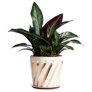 Floor Plant In Home Decor PNG 06282024 PNG