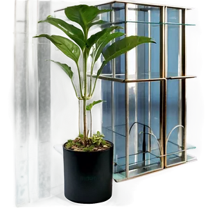 Floor Plant In Home Decor PNG 90 PNG