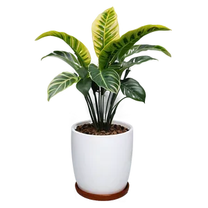 Floor Plant In Home Decor PNG Bcy PNG