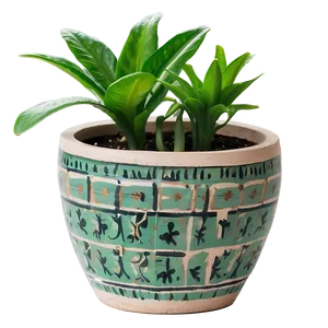 Floor Plant In Pot PNG 06282024