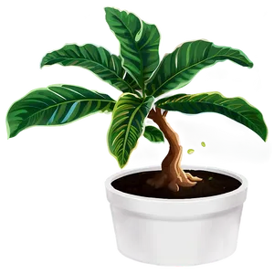 Floor Plant In Pot PNG 06282024