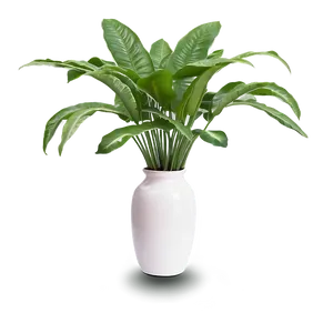 Floor Plant In Vase PNG 06282024 PNG