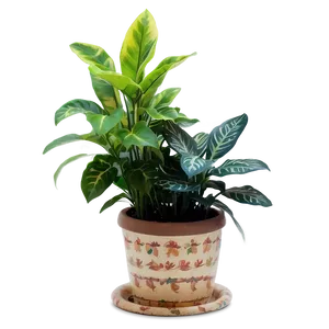 Floor Plant Scene PNG 06282024