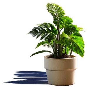 Floor Plant Silhouette PNG Jpu25 PNG