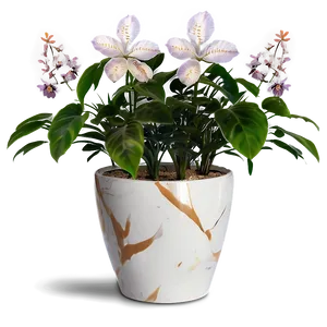 Floor Plant With Flowers PNG 06282024 PNG