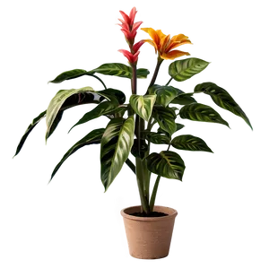 Floor Plant With Flowers PNG Vgy