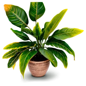 Floor Plant With Leaves PNG 18