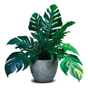 Floor Plant With Leaves PNG Nea
