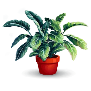 Floor Plant With Leaves PNG Qfh30 PNG