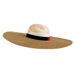 Floppy Hat PNG 05042024