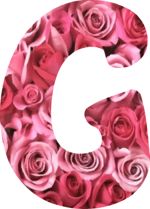 Floral Alphabet G Letter Rose Design PNG image