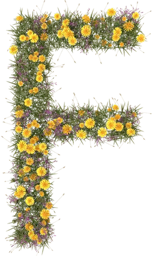 Floral Alphabet Letter F PNG image