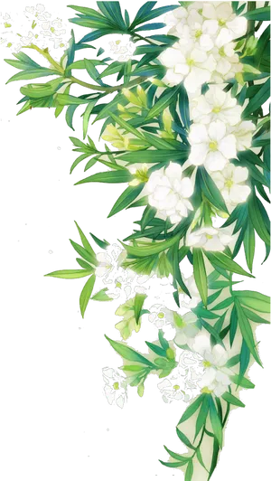 Floral_ Arrangement_ Black_ Background PNG image