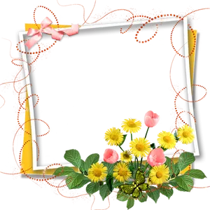 Floral Decorated Photo Frame PNG