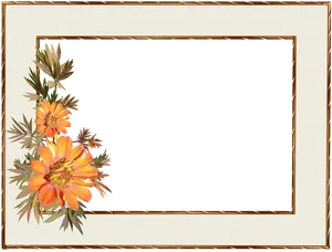 Floral Decorative Border Frame PNG image