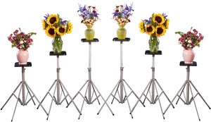 Floral Display Stands Variety PNG image